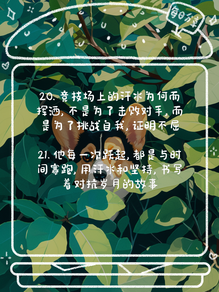 今年最励志的体育故事TOP10的简单介绍