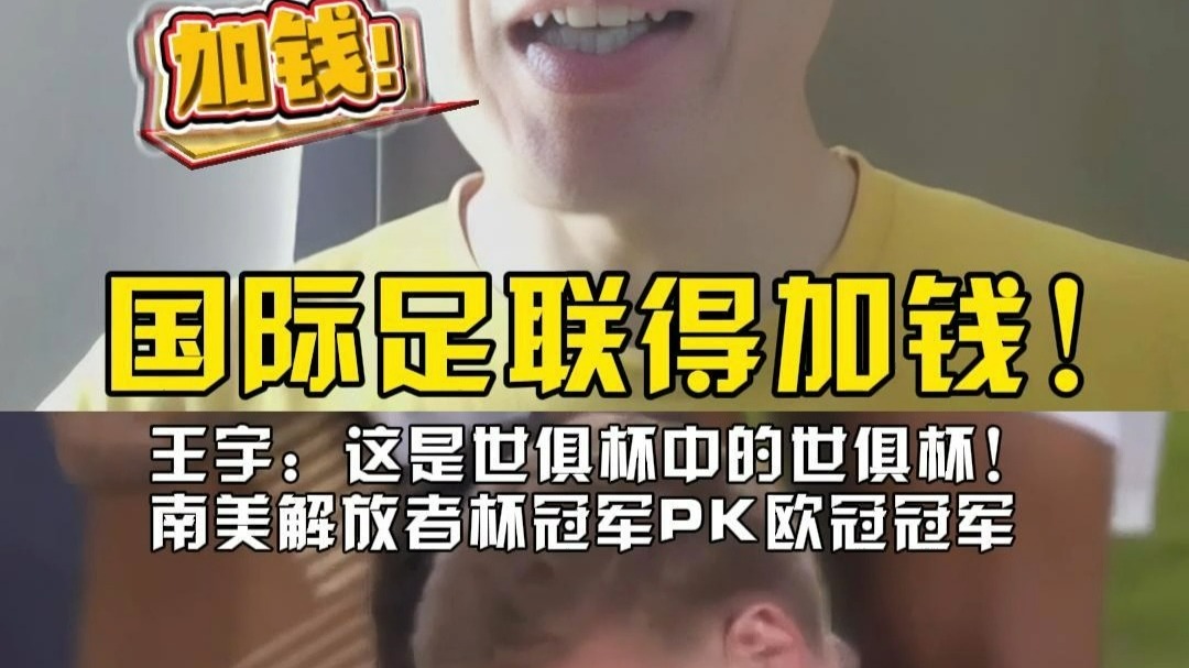 包含南美解放者杯决赛，球迷冲突致比赛中断的词条