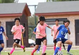 “发现潜力股：哪些新秀在赛季中崭露头角？”的简单介绍